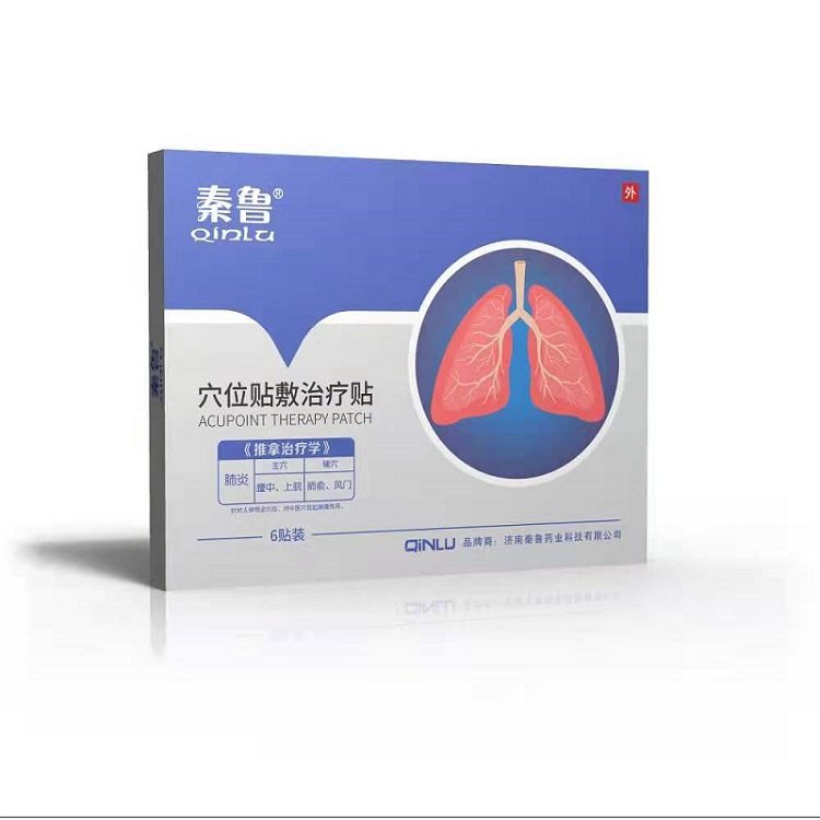 秦鲁小儿肺炎贴